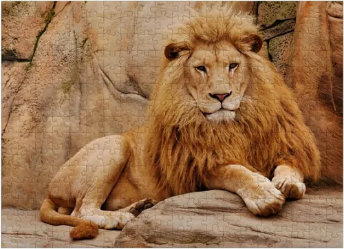 Miniatura 7 de MyPuzzle A Lion Relaxing On A Stone - Rompecabezas prémium de 100 piezas para adultos