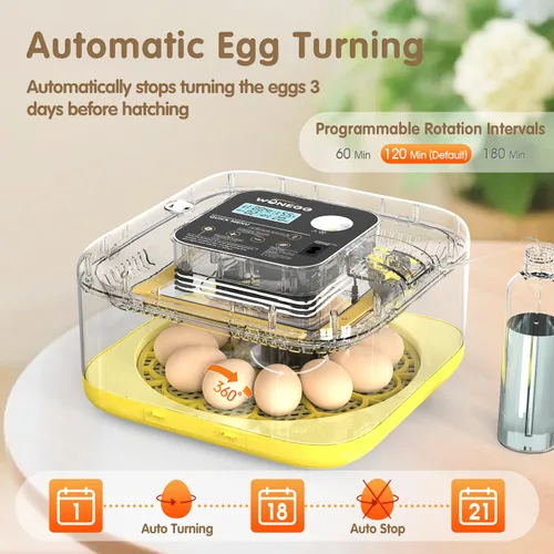 Miniatura 6 de HOWOOlUA Incubadora de 12 huevos para incubar huevos con giro automático, control de temperatura y humedad, incubadora de gran capacidad