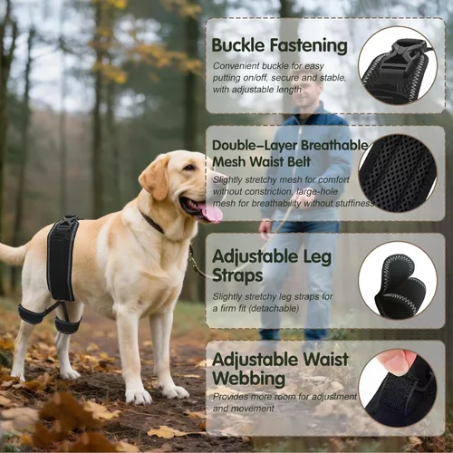 Miniatura 3 de Soporte ortopédico de cadera para perro, soporte para displasia de cadera para perro, soporte para displasia de cadera, artritis, rótula luxante
