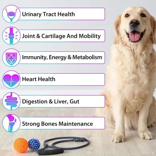 Miniatura 5 de Multivitamínico líquido para perros, vitaminas 15 en 1 para perros, multivitamínico para apoyar la piel y el abrigo, corazón, huesos
