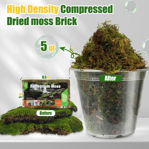 Miniatura 2 de Doter Musgo de bosque seco para plantas (5 cuartos de galón / 1 paquete), musgo para macetas para varias plantas, incluyendo orquídeas, plantas