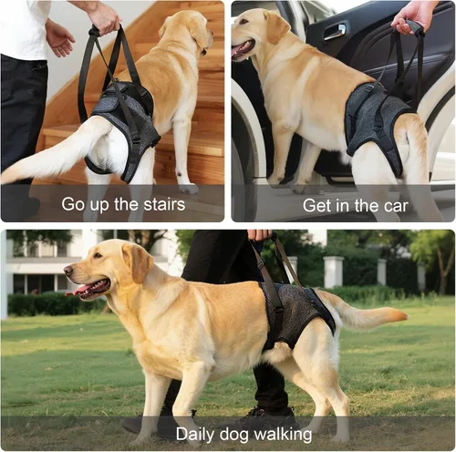 Miniatura 6 de Arnés acolchado suave ajustable para patas traseras para perros grandes, para patas traseras débiles, lesionadas o discapacitadas, ayuda a apoyar a