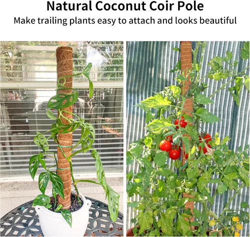 Miniatura 3 de JJGoo Poste de musgo para plantas Monstera, paquete de 2 postes de soporte para plantas de 23.6 pulgadas, poste de tótem de fibra de coco extensible