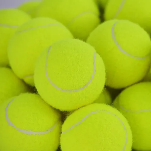 Miniatura 8 de INSUM Bulk Tennis Balls for Beginner – 20/30/60/120 Pack High Elasticity Practice Tennis Balls with Mesh Bags, Portable for Pet Dog Outdoor Playing
