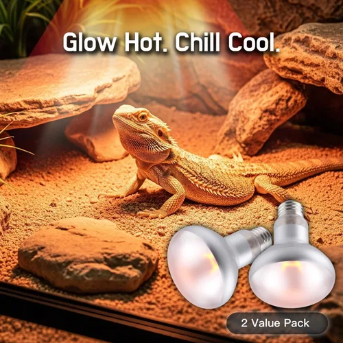Miniatura 5 de Paquete de 2 bombillas de calor para reptiles de 75 W, bombillas de calor UVA para dragones barbudos, tortugas, serpientes, lagartos y anfibios