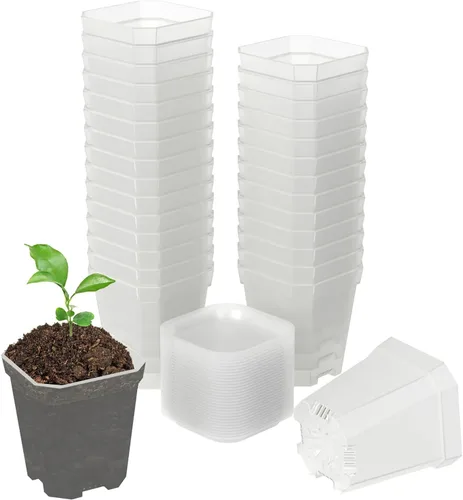 Miniatura 13 de Macetas de vivero transparentes verdes de 3 pulgadas de Foxany, 30 piezas de maceta de plástico grueso, paquete variado de macetas cuadradas
