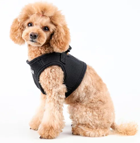 Miniatura 4 de Chaleco suave con arnés B de Puppia, M, Negro