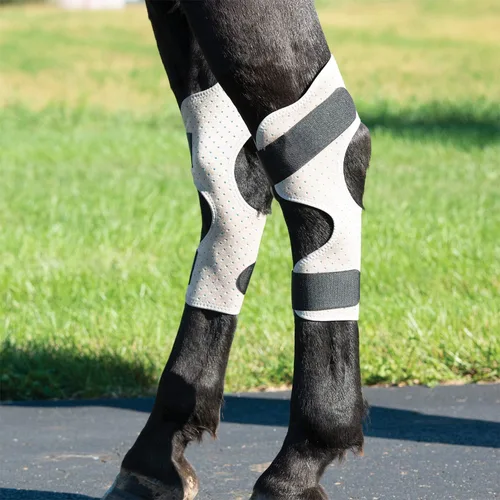 Miniatura 2 de Weaver Leather CoolAid Equine Icing and Cooling Hock Wraps