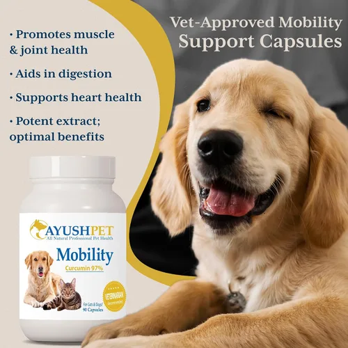 Miniatura 2 de Ayush Pet Mobility, suplemento de curcumina para articulaciones saludables, articulaciones puras y potentes, digestión y apoyo cerebral, mascotas
