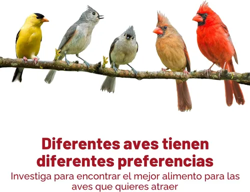 Miniatura 13 de Kaytee Alimento en forma de pastel de semillas para aves silvestres y gusanos de harina para azulejos, carboneros, pájaros carpinteros y más, 1.4