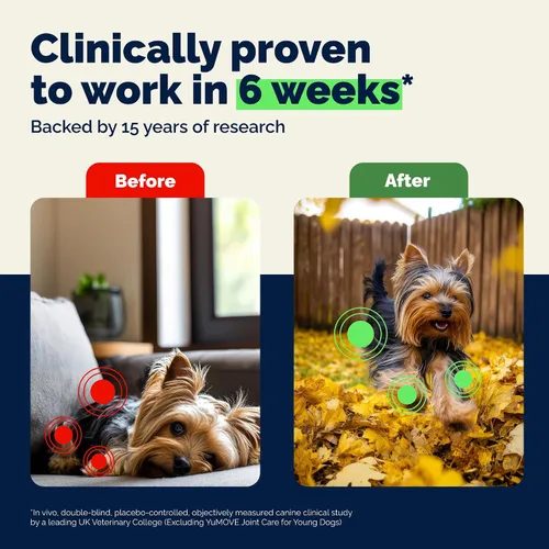 Miniatura 3 de YuMOVE Suplemento para Cadera y Articulaciones para Perros - Con Glucosamina Condroitina, Mejillón de Labios Verdes, Ácido Hialurónico y Suplemento