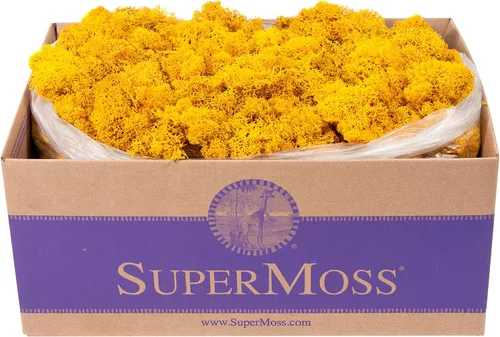 Miniatura 29 de Super Moss 21669 - Musgo de reno preservado, Chartreuse, 8 onzas (200 pulgadas cúbicas)
