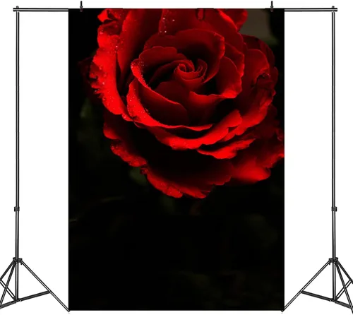 Telón de fondo de fotografía negro rosa roja de 5 x 7 pies para retrato abstracto, sesión de fotos negra, fondo de fotos para adultos, retrato de
