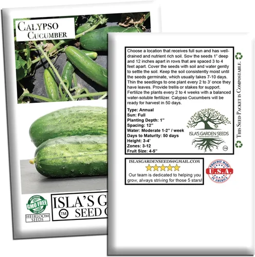 Miniatura 7 de Semillas de pepino Calypso para plantar, más de 25 semillas de reliquia por paquete, semillas de jardín de Isla (semillas de jardín de Isla)