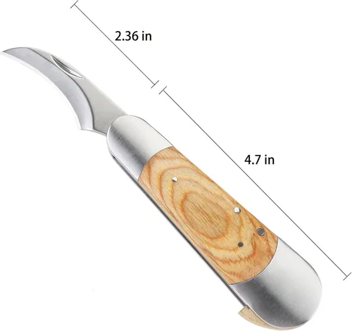 Miniatura 6 de Coowolf Cuchillo para setas con cepillo y funda, hoja curva de acero inoxidable, mango de madera dura, diseño plegable de 18 cm, para morillas