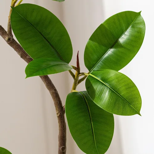 Miniatura 8 de Bailikang Árbol de Goma Artificial de 1.4 metros Plantas de Imitación para Interiores Árboles Artificiales de Piso para Interiores, Plantas
