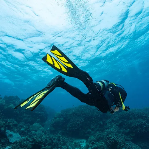 Miniatura 5 de TUSA SF-0111 Hyflex Zoom Aletas de Buceo ROSA ROSA