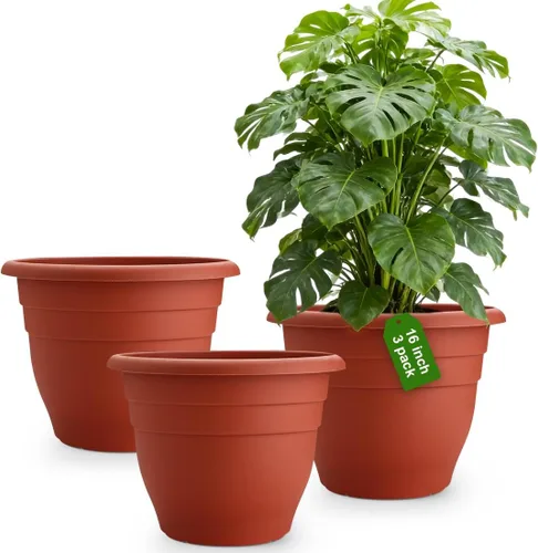 Miniatura 21 de RooTrimmer Juego de 10 macetas de 8 pulgadas con agujeros de drenaje y platillos, macetas para plantas de interior y exterior, macetas de orquídeas