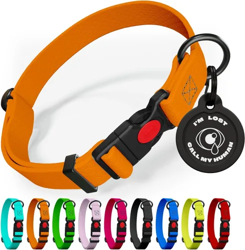 Miniatura 14 de Collar de perro ajustable con código QR identificación adjunta, fabricado en Estados Unidos, collar de perro resistente al agua con hebilla de Azul