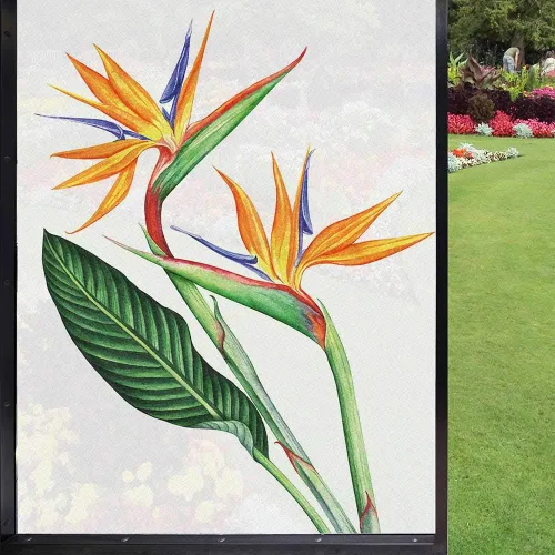 Película esmerilada de colores hawaianos para ventana, privacidad, pintura tropical de un pájaro del paraíso flor sobre fondo liso, vidrio