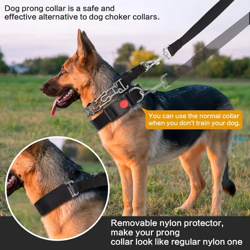 Miniatura 2 de Collar de entrenamiento de puntas con puntas cómodas y hebilla de cierre rápido – Collar de pellizco para perro con cubierta de nailon