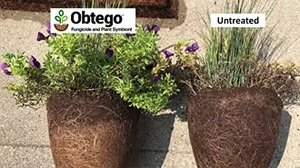 Miniatura 3 de Obtego Fungicida y Simbionte de Plantas 5 lb