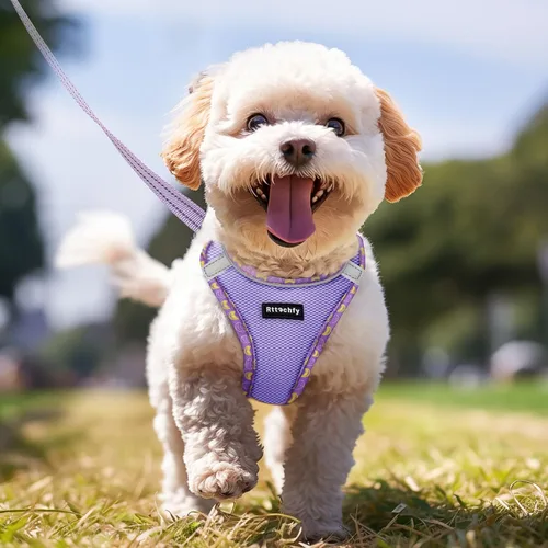 Miniatura 6 de Rttochfy Arnés para perro pequeño, arnés suave y reflectante para cachorro, arnés y correa para perros de tamaño pequeño, entrenamiento y caminar