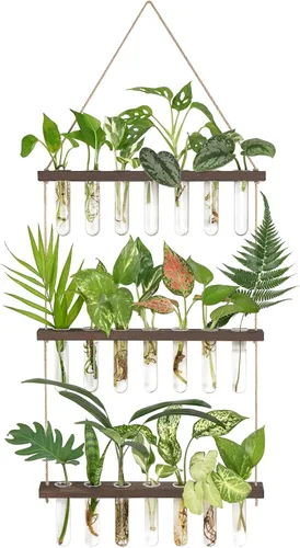 Miniatura 8 de Mkono Terrario para colgar en la pared de 3 niveles con soporte de madera, maceta de vidrio para corte de plantas hidropónicas, decoración de Beige
