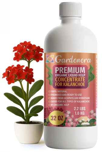 Miniatura 60 de GARDENERA Superalimento orgánico prémium de algas marinas y algas marinas para plantas AGLAONEMA, 8 onzas, concentrado de fertilizante líquido