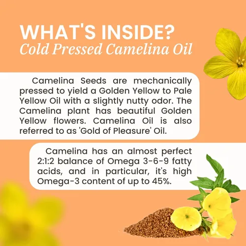 Miniatura 6 de Zippi Omega 3-6-7-9 Camelina Softgels - Suplemento de ácidos grasos Omega 3-6-7-9 a base de plantas Ayuda a apoyar el cerebro, hígado