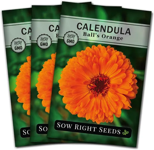 Miniatura 7 de Sow Right Seeds - Semillas de caléndula naranja Ball's para plantar - Paquete de reliquia sin OMG con instrucciones para plantar un jardín en casa