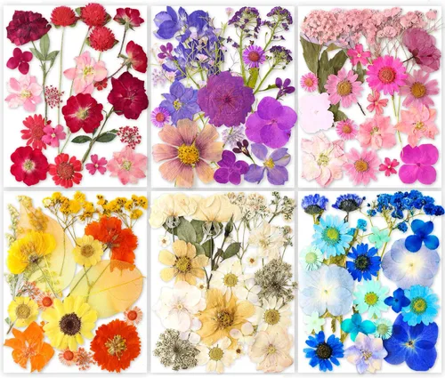 Miniatura 9 de 96 piezas de flores blancas secas y prensadas vintage para manualidades con resina - Juego de flores naturales reales de YouthBro con 50 calcomanías