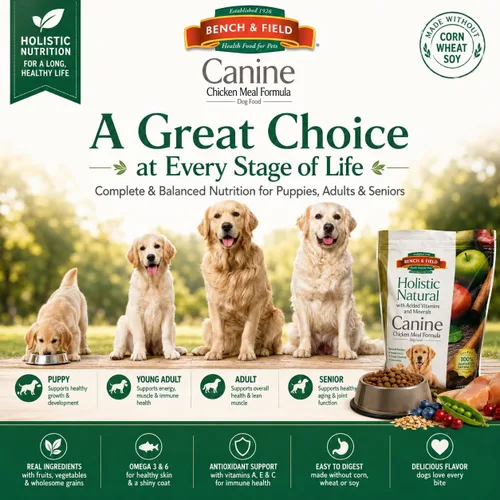 Miniatura 3 de Bench & Field Holistic Premium - Alimento seco para perros, receta de harina de pollo y arroz integral, hecho sin maíz, trigo o soja, para todas