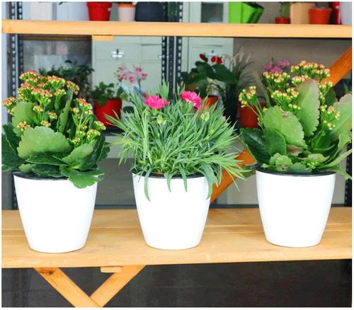 Miniatura 3 de Macetero de riego automático de 5.2" en color blanco, maceta de flores, juego de 3 macetas medianas, maceta mini, para todas las plantas, hierbas