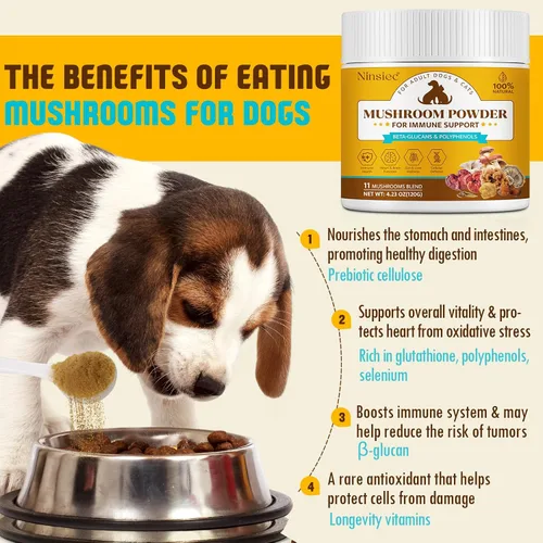 Miniatura 5 de Suplemento orgánico de hongos en polvo para perros y gatos - Complejo de 11 hongos con cola de pavo, reishi y cordyceps, apoya el lipoma, el alivio