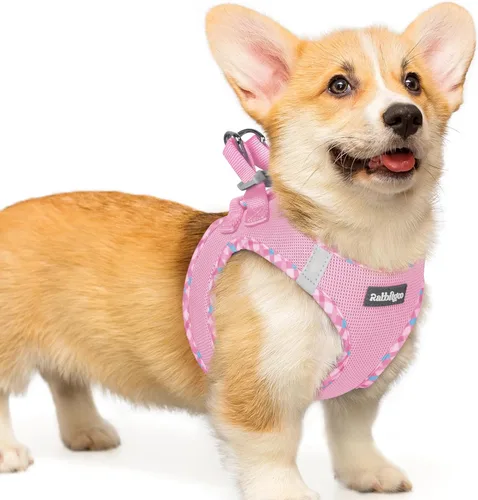 Miniatura 113 de rabbitgoo Arnés para perro pequeño, chaleco de malla suave para cachorros con hebilla de seguridad, arnés reflectante transpirable para mascotas