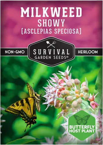 Semillas de Algodoncillo Vistoso para Plantar - Asclepias Speciosa - Huésped de Mariposa Monarca - Planta Nativa Tolerante a la Sequía y Flor de