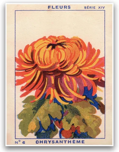 Colorido arte retro para pared, póster floral vintage, impresión de crisantemo, decoración de granja, estampado floral degradado, rojo, naranja,