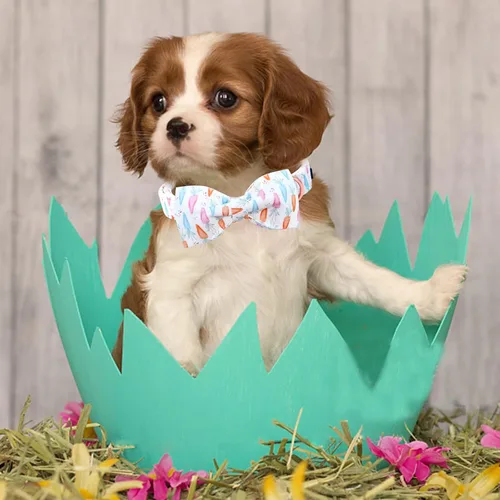 Miniatura 5 de Lionheart glory Collar de Pascua para perro con pajarita, collar de perro con estampado de zanahoria, suave y duradero, ajustable, lazo para perros