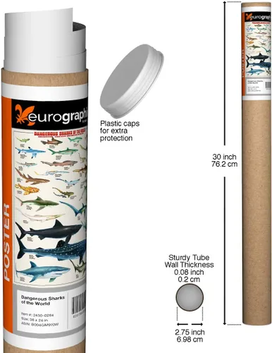 Miniatura 2 de EuroGraphics Póster de tiburones peligrosos, 36 x 24 pulgadas, color beige