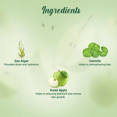 Miniatura 5 de Biotique Fresh Daily Purifying Champú y acondicionador - Manzana Verde 6.4 fl oz