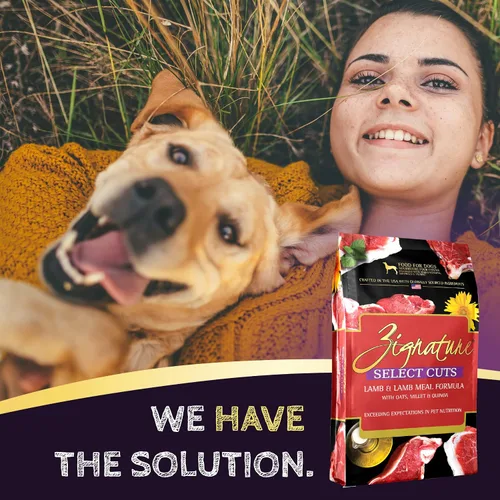 Miniatura 4 de Zignature Select Cuts - Comida seca para perros con fórmula de cordero, 4 libras