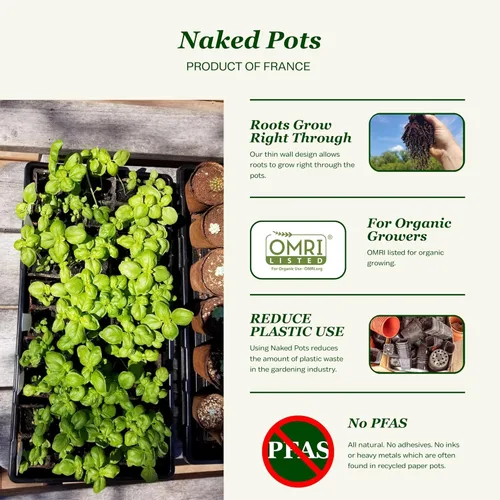 Miniatura 2 de Daniel's Plants Macetas desnudas de 3 pulgadas Macetas de inicio de semillas plantables naturales Biodegradables con certificación OMRI