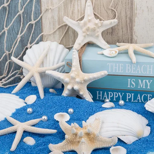 Miniatura 3 de Conchas de mar grandes de 4 a 5 pulgadas, conchas marinas a granel para manualidades y decoración, decoración de boda para fiesta en la playa