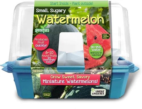 Miniatura 8 de Toys by Nature - Terrario de brotes de plátanos para interiores, suministros completos para cultivar mini plátanos comestibles en casa, las plantas