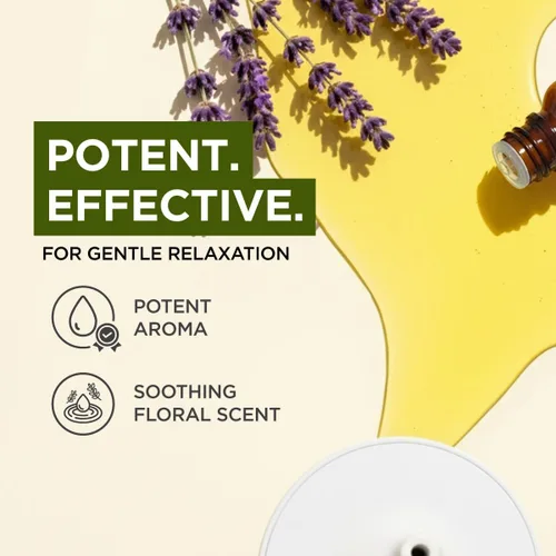 Miniatura 3 de Gya Labs - Aceite esencial de lavanda para aliviar el estrés, dormir y relajación, de uso tópico para piel seca e irritación, inhala para aliviar
