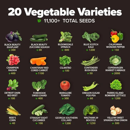 Miniatura 4 de 20 semillas de verduras autóctonas – Más de 8,000 semillas de supervivencia y equipo esencial de preparación de emergencia, semillas de verduras sin