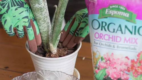 Miniatura 2 de Mezcla para macetas, tierra natural y orgánica de primera calidad para orquídeas y bromelias, 4 cuartos de galón, paquete de 2