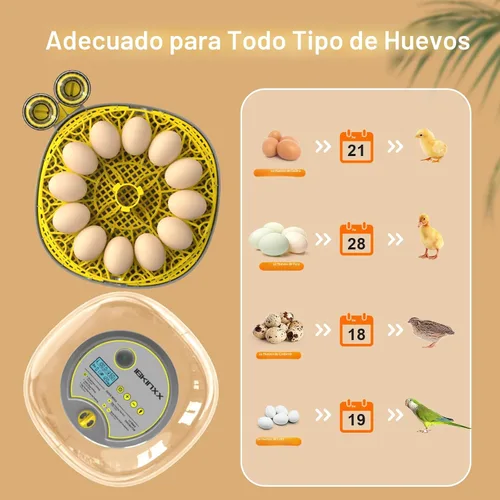 Miniatura 5 de Incubadora para incubar huevos: capacidad de 12 huevos, nuevo cambiador automático de huevos 2026, control de temperatura y humedad, visualización