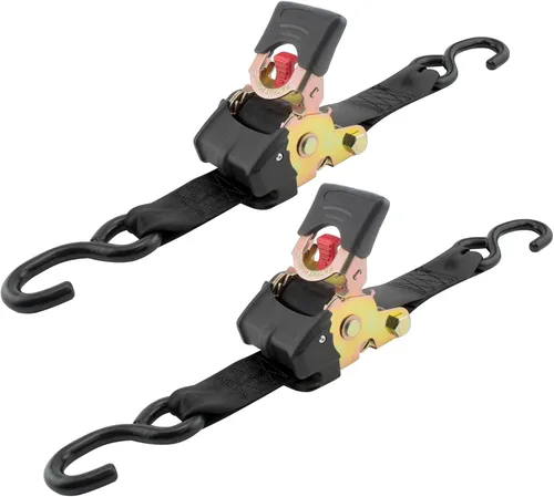 Erickson 34416 Pro Series Correa, amarra de trinquete retráctil, negra, de 2 pulgadas x 10 pies